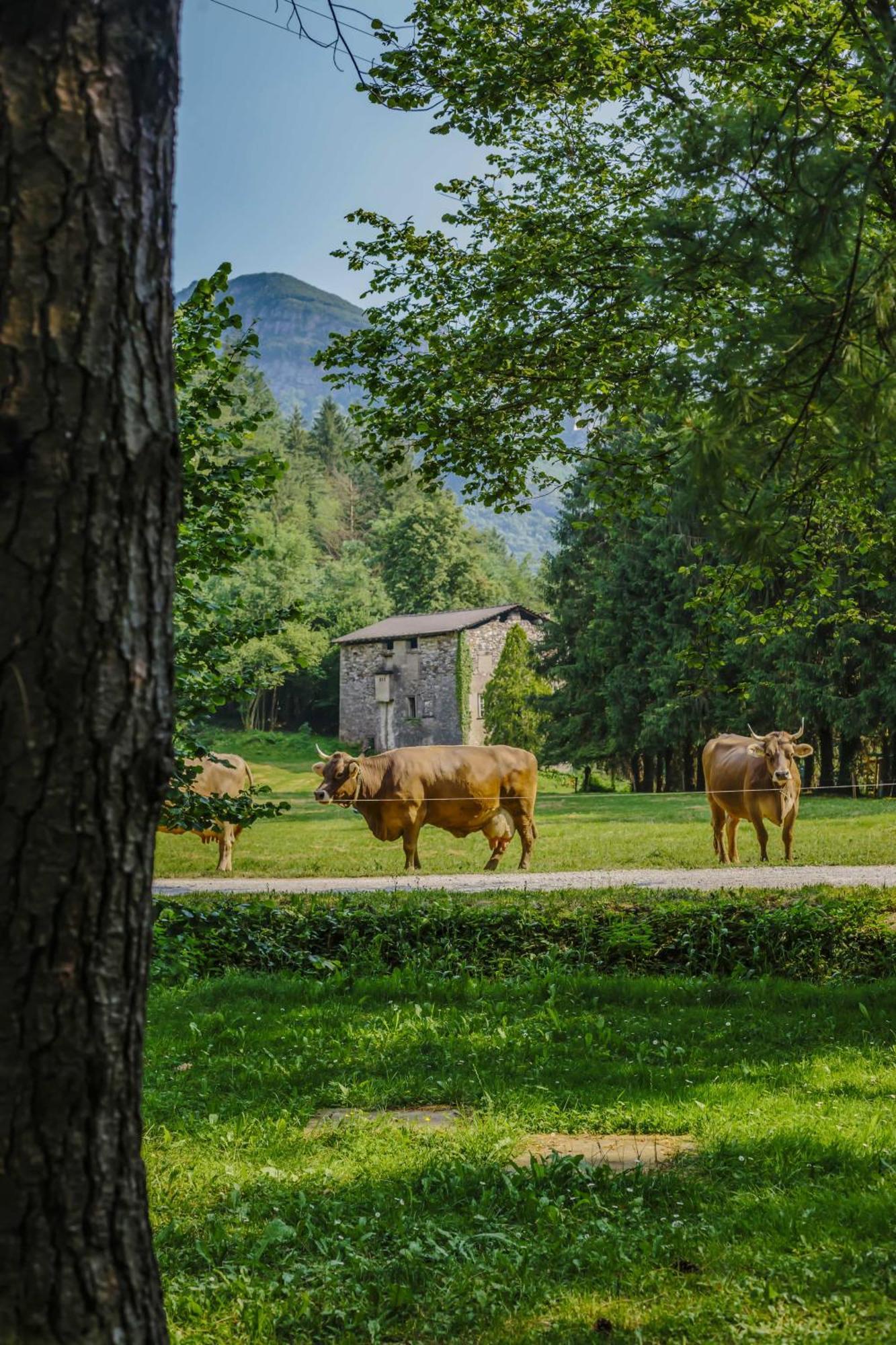 Agriturismo Ferdy Villa Lenna Exterior photo